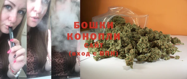mdpv Бородино