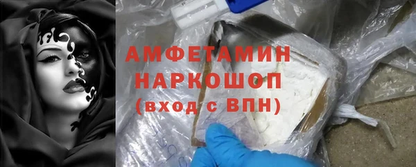 mdpv Бородино