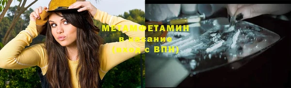 прущие грибы Богородск