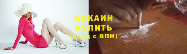 стафф Богданович
