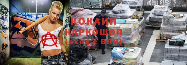 стафф Богданович