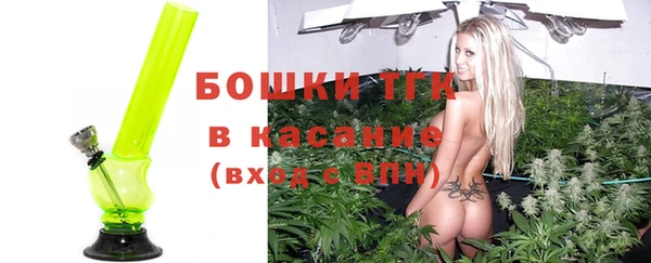 прущие грибы Богородск